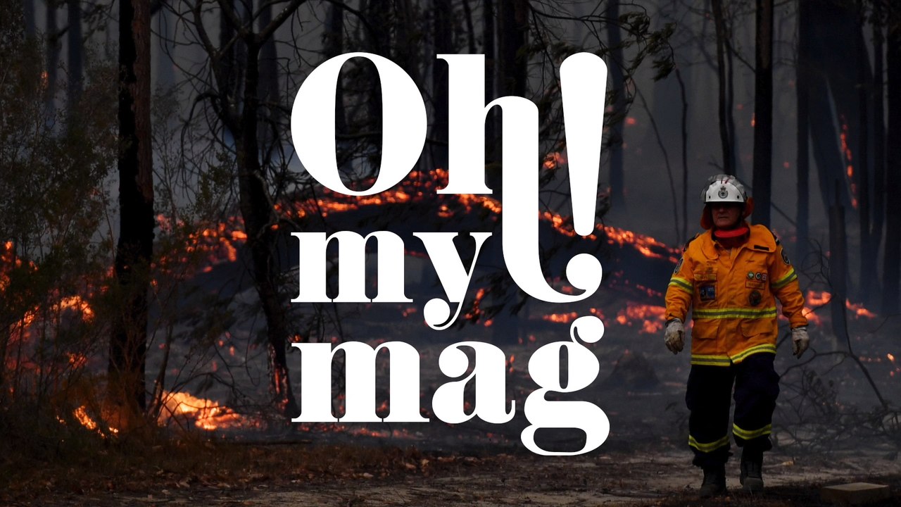 Ökologe warnt: Zahl der toten Tiere in Australien sei bedeutend höher als bisher geschätzt