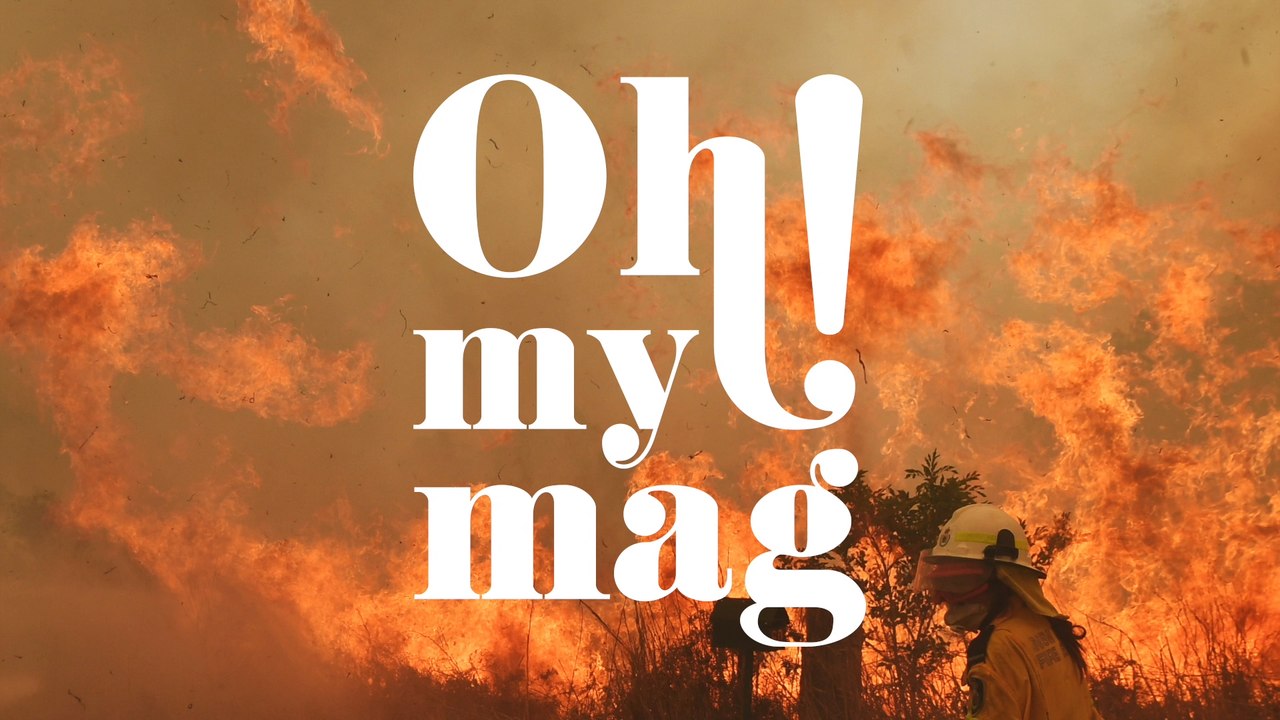 Wegen Buschbränden: Im Bundesstaat Victoria sollen schutzlose Jungtiere erschossen werden