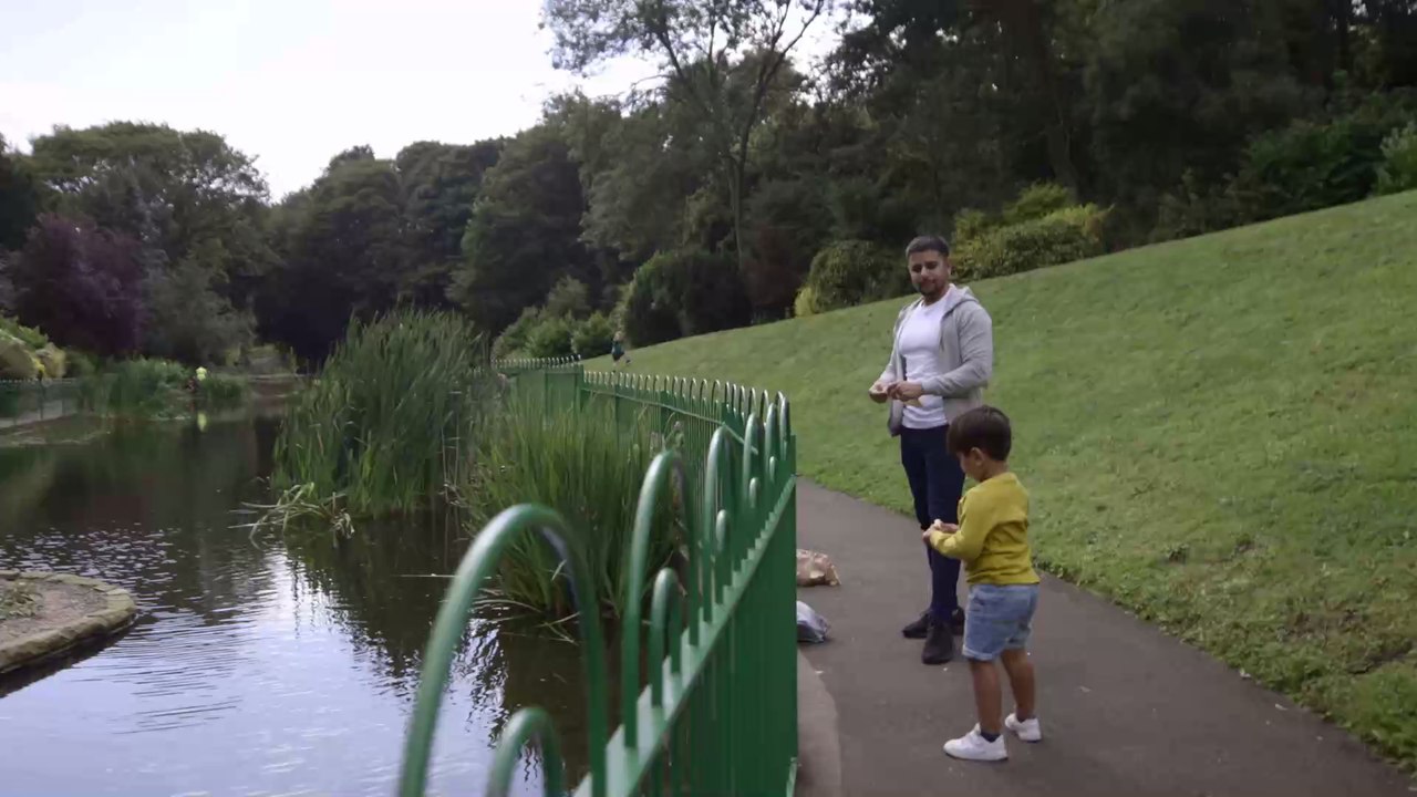Lebensgefahr: Deshalb ist es ein fataler Fehler Enten mit Brot zu füttern