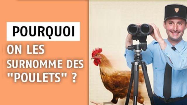 Pourquoi les policiers sont-ils surnommés les poulets ?