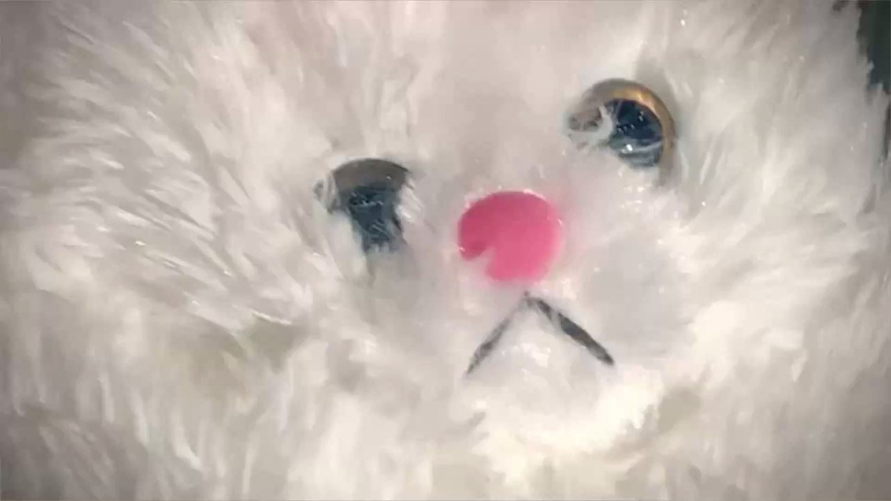 Lady Gaga redet wegen Corona mit Gott: 'Alles wird gut ausgehen'