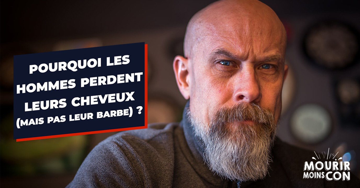 Pourquoi les hommes perdent-ils leurs cheveux mais pas leur barbe ?
