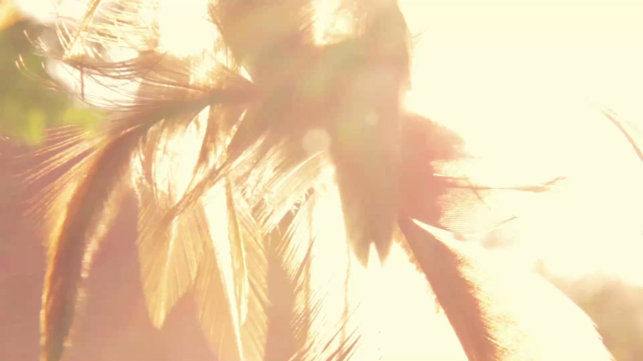 Steinbock: Das ist dein indianisches Sternzeichen