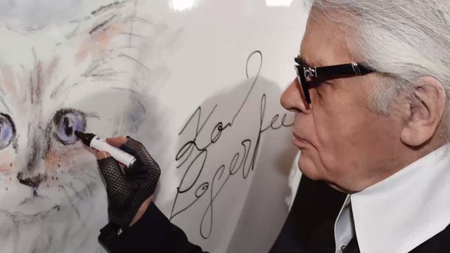 Choupette: So geht es Karl Lagerfelds Katze ein Jahr nach seinem Ableben