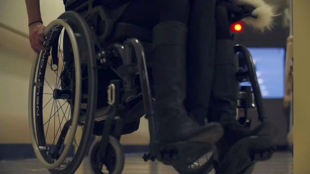 Süße Geschichte: Assistenzhund verhilft seiner Besitzerin zu ihrem Traummann