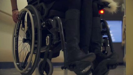 Süße Geschichte: Assistenzhund verhilft seiner Besitzerin zu ihrem Traummann