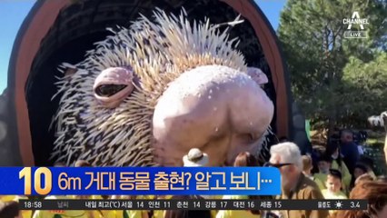 6m 거대 동물 출현?…알고 보니 ‘마스코트 인형’