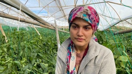 Serasını hortum vuran kadın çiftçinin gözyaşları: Savaşa üzülürken felaketi yaşadık