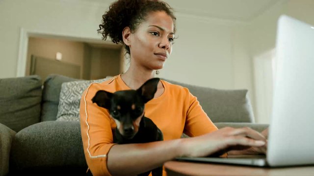 Missing holidays? You and your pooch could be in for a chance to review luxury cottages