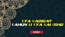 Kya Haqiqat Kahun Ki Kya Hai Ishq | Sad Poetry | Poetry Junction | HD