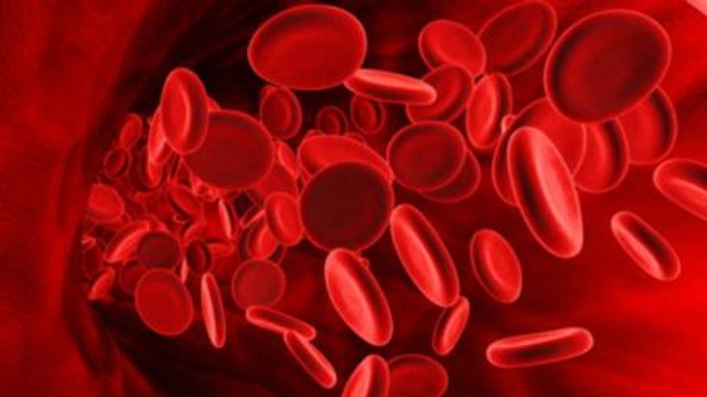 VGM : définition, rôle, comment analyser les résultats ?