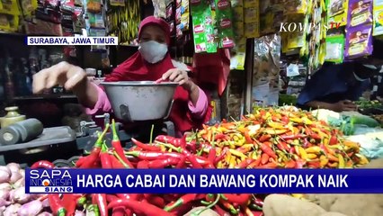 Kurangnya Pasokan Dari Distributor, Harga Cabai Naik Hingga Rp42 Ribu!