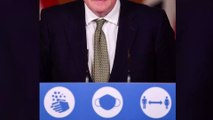 Viewers distracted by Boris Johnson’s hair during public address: ‘Has he been fighting a cat?’
