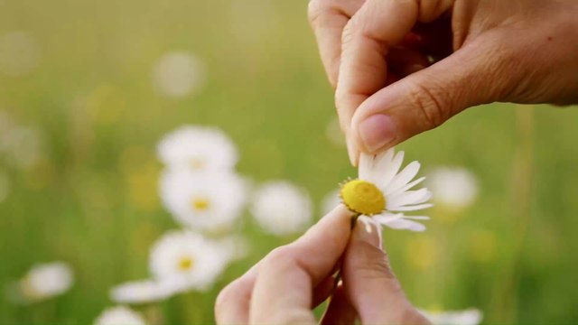 Astrologie: So verrät dir der Krebs-Mann, dass er heimlich auf dich steht