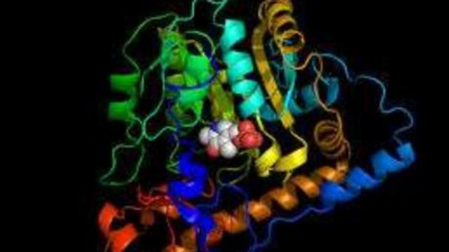 SGOT : définition, rôle, comment analyser les résultats ?