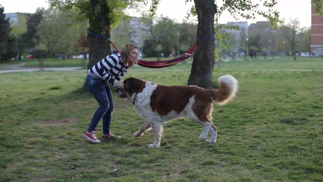 Hundescheue Frau trifft auf verängstigten Hund: Was dann passiert, ist unglaublich!