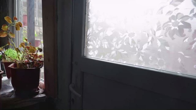 Spaß trotz Alzheimer: Enkel nutzt Quarantäne, um seine kranke Oma zu unterhalten