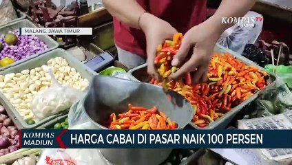 Harga Cabai Di Pasar Naik 100 Persen