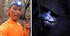 Hawaï : un homme est descendu en rappel dans un volcan pour sauver un chien