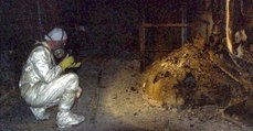 Tchernobyl : le pied d'éléphant, cette masse radioactive enfouie dans les entrailles de la centrale nucléaire