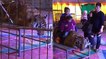 Chine : la vidéo d'un tigre de cirque attaché pour poser avec les visiteurs crée la polémique