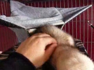 Tu prends trop de place :s