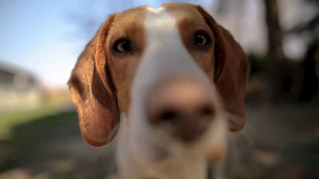 Nanny Cam filmt alles: Unglaublich, was dieser 2-Jährige in der Nacht anstellt!