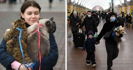 Des photos déchirantes montrent des Ukrainiens fuyant leur pays avec leurs animaux de compagnie
