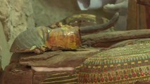 Egypte : huit momies découvertes dans une tombe vieille de 3500 ans près de Louxor