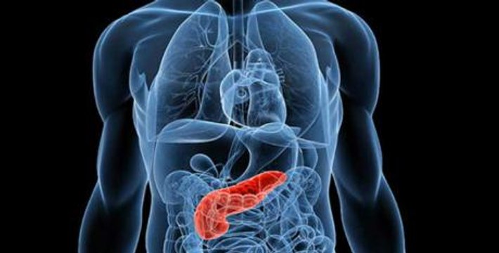 Lipase : définition, rôle, comment analyser les résultats ?