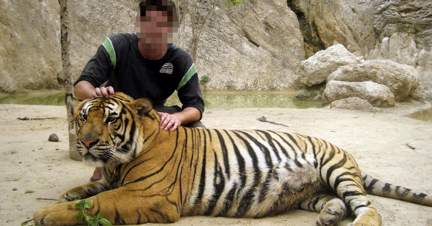 Instagram s'engage dans la lutte contre les selfies avec des animaux sauvages