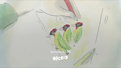 Drôles d'Oiseaux - Bande annonce