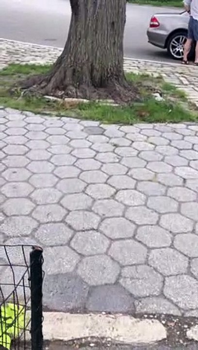 Video 142