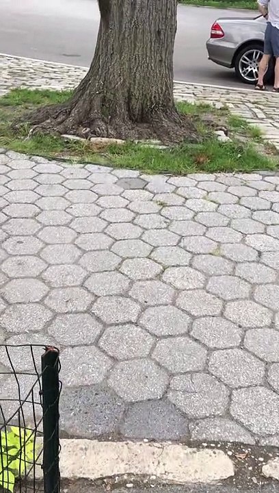 Video 177