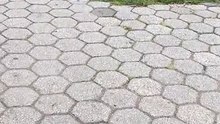 Video 205