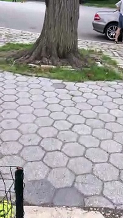 Video 218