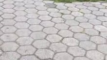 Video 244