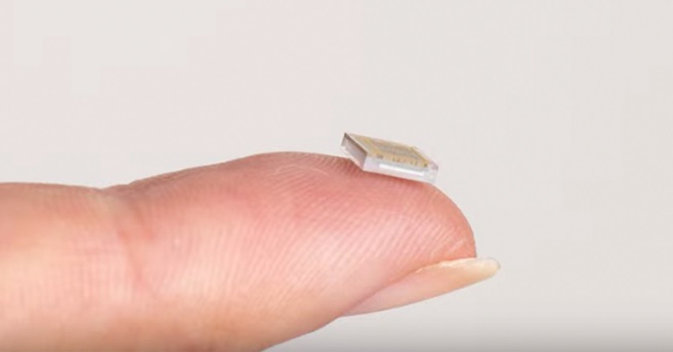 Neuralink: Was wirklich mit Elon Musks Labor-Affen passiert ist