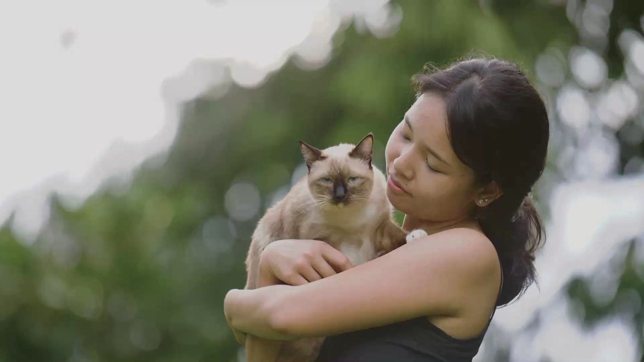 Verhaltensveterinär erklärt: Liebt oder hasst uns unsere Katze?