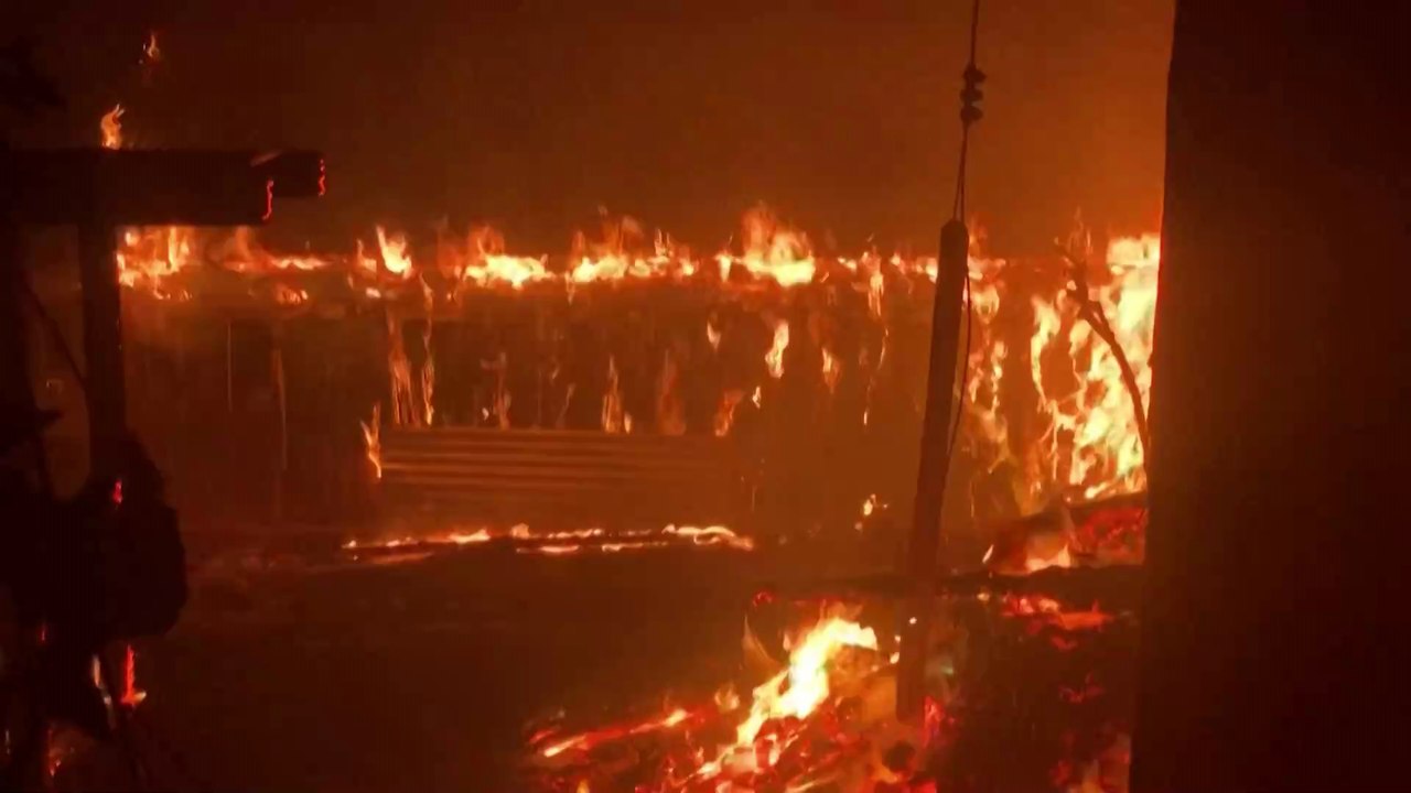 Hilfloser Welpe nach verheerenden Waldbränden aus Trümmern gerettet
