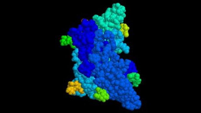 FSH : définition, rôle, comment analyser les résultats ?