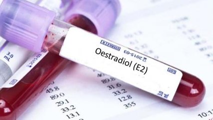 Oestradiol : définition, rôle, taux bas ou élevé, comment analyser les résultats ?