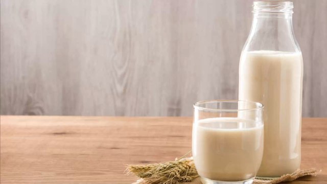 Verbraucher boykottieren Hafermilch: Vegan-Hersteller holt sich Geld von berüchtigtem Finanzinvestor