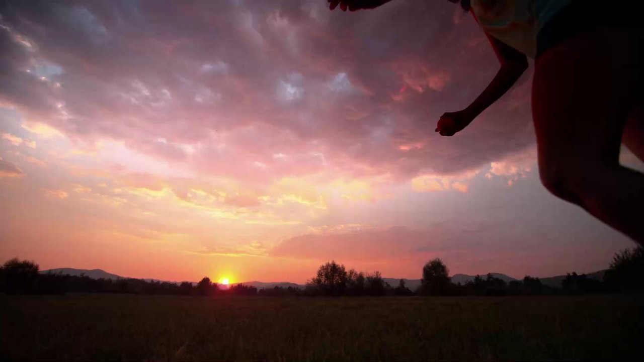 Hündin und Besitzerin bekämpfen gleichzeitig Krebs