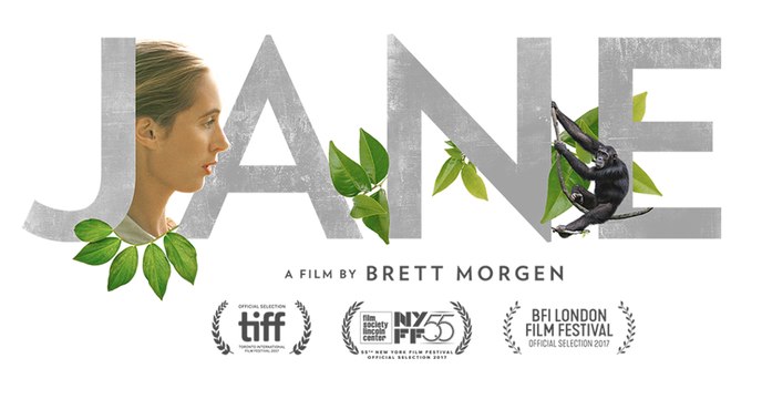 JANE, le fabuleux documentaire qui retrace l'aventure de Jane Goodall au milieu des chimpanzés