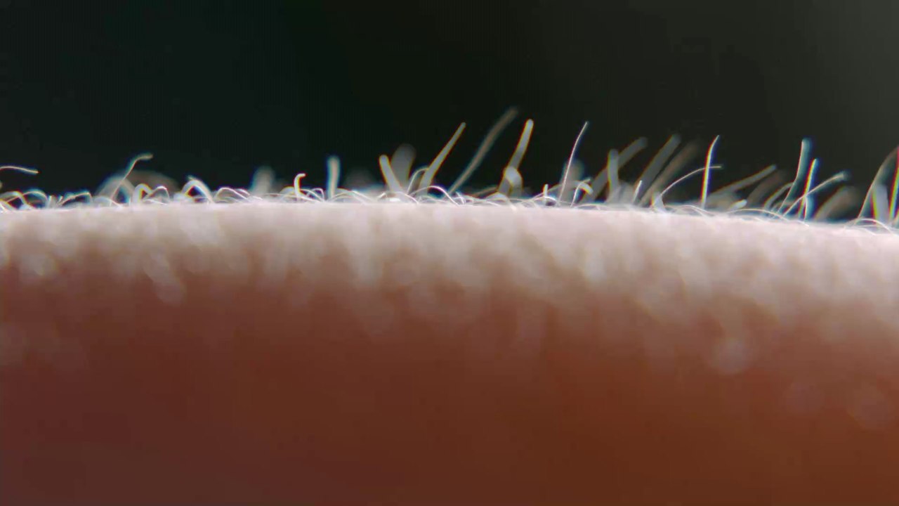 'Die Vereinigung der Elster': Mit dieser bequemen Stellung kommt ihr ganz einfach zum Höhepunkt