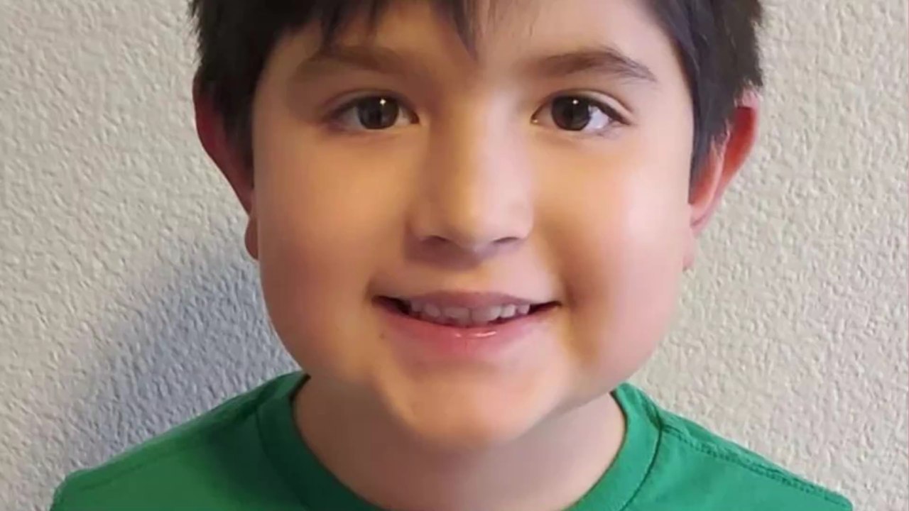 Buch von 8-Jährigem: Sein Werk wird zum Bibliotheks-Hit