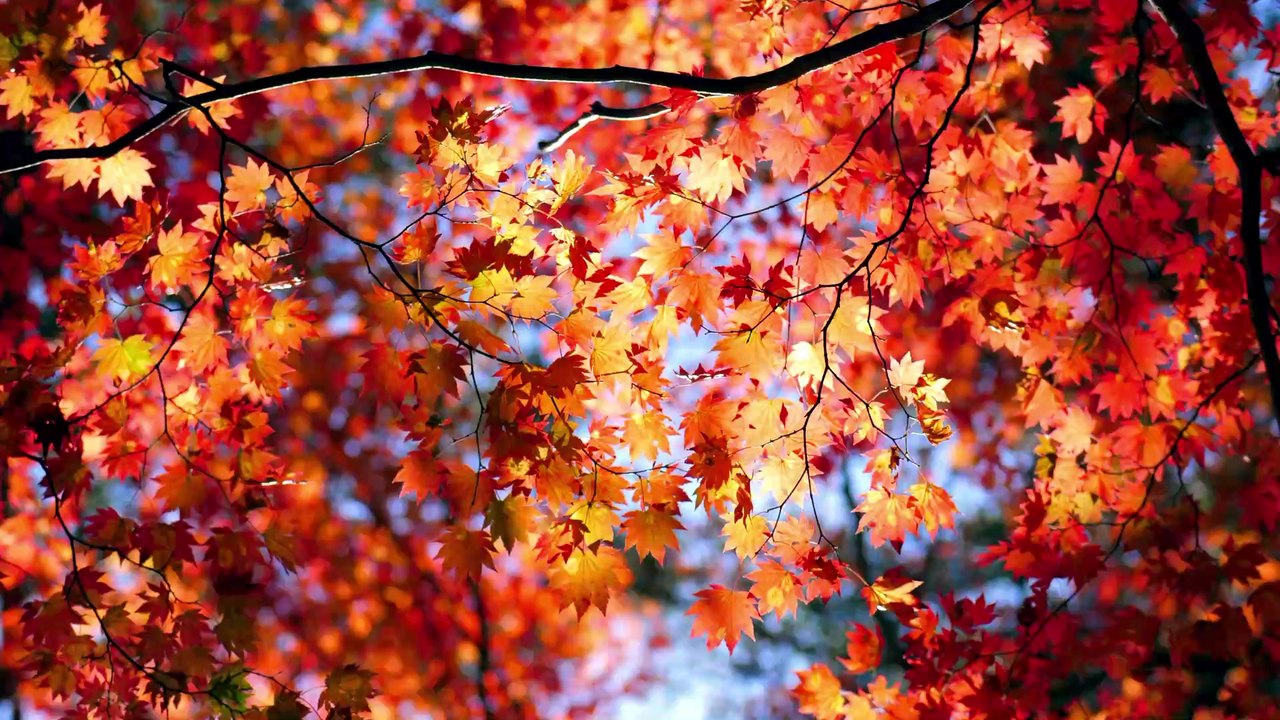 Kleiderschrank für den Herbst: So schaffst du genug Platz für Pullover & Co.