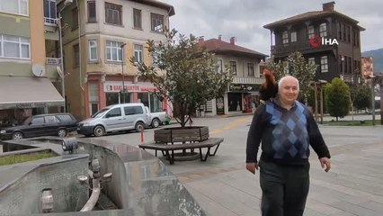 Elleriyle beslediği Hint horozu omzundan inmiyor... Her gün işe omzundaki horozu ile birlikte gidiyor