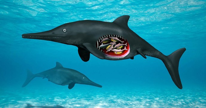 Un fossile d'ichtyosaure vieux de 180 millions d'années surprend les paléontologue